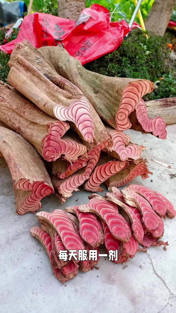 鸡血藤对阑尾炎的作用与功效