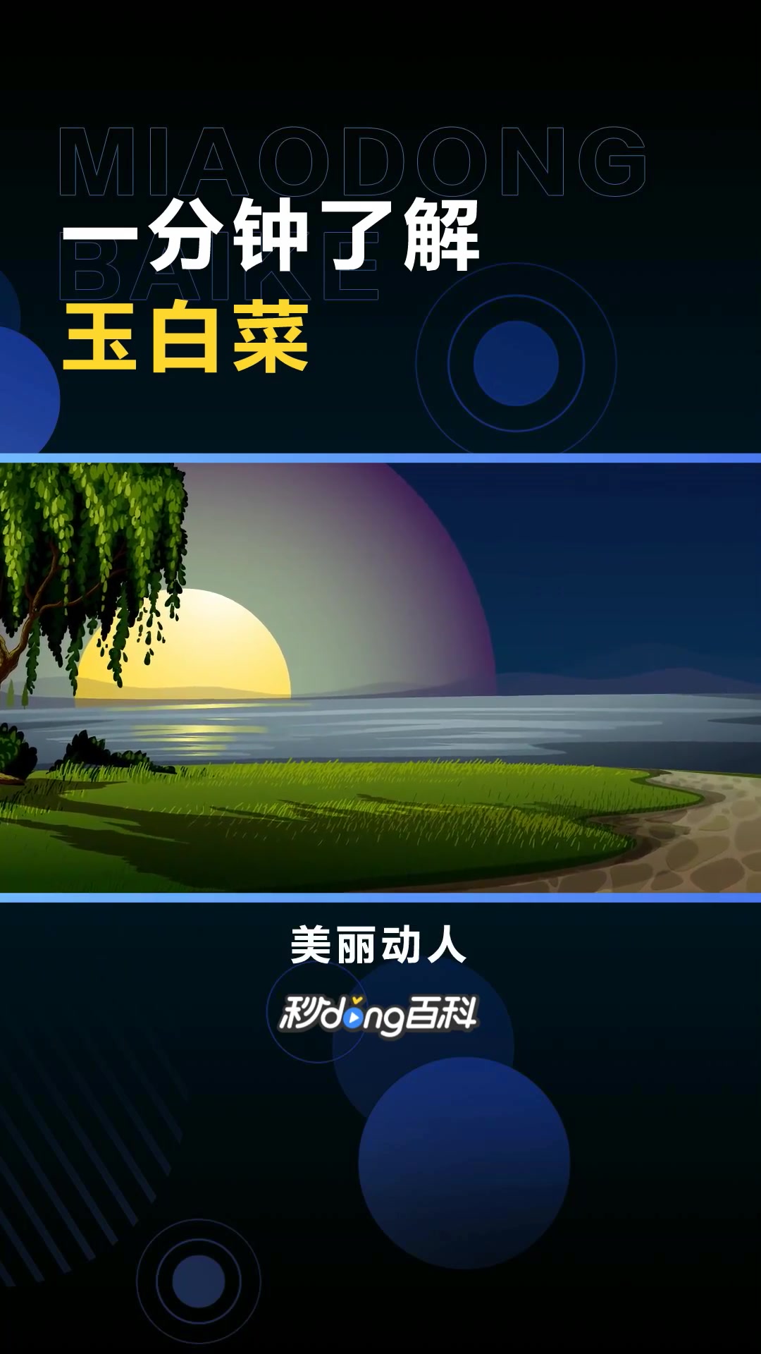 玉白菜:用玉石雕琢的白菜