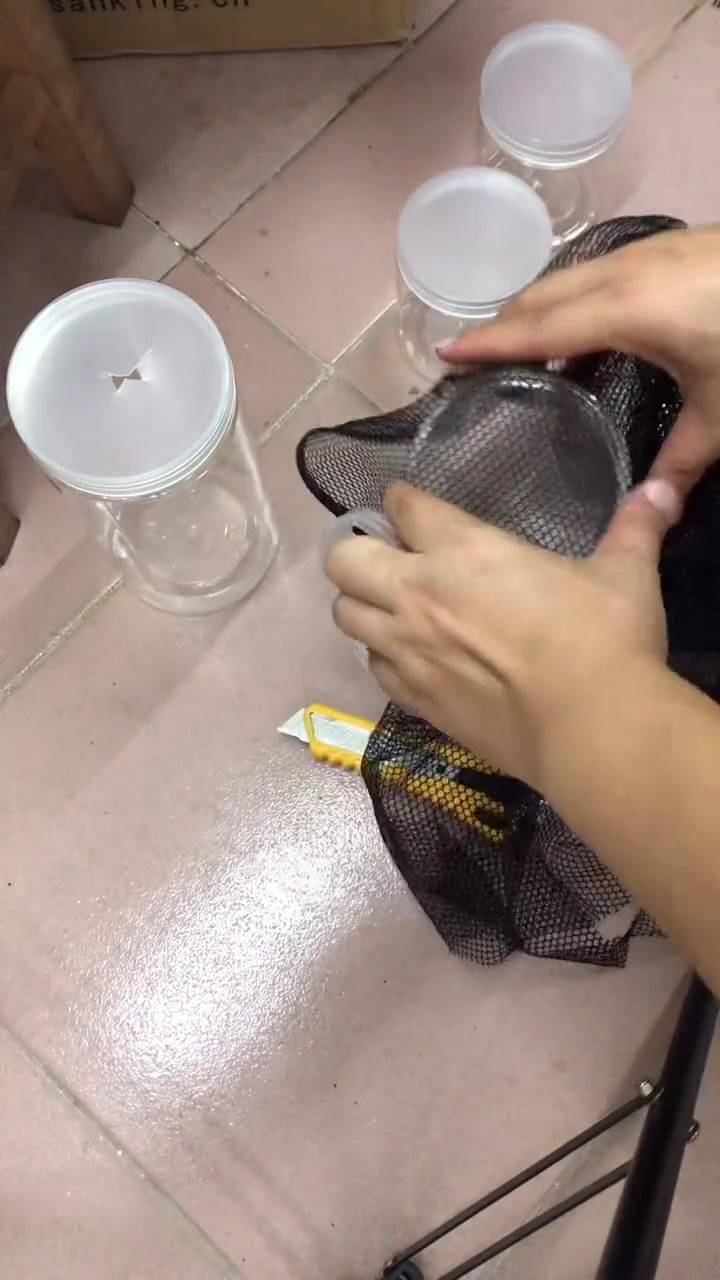 超实用孔雀鱼繁殖隔离盒。鱼苗也能在大缸饲养了,不担心隔离出