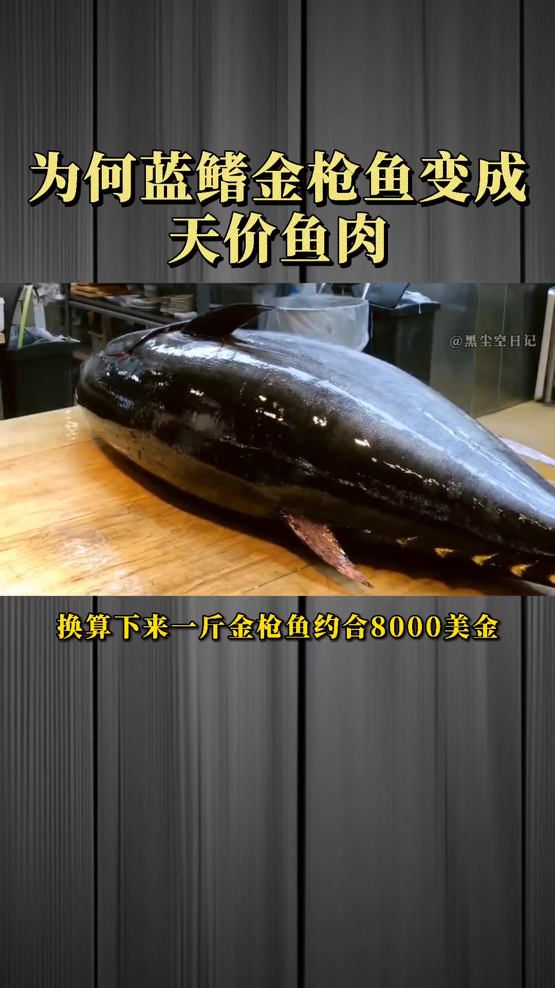 为什么日本的顶级蓝鳍金枪鱼这么贵?