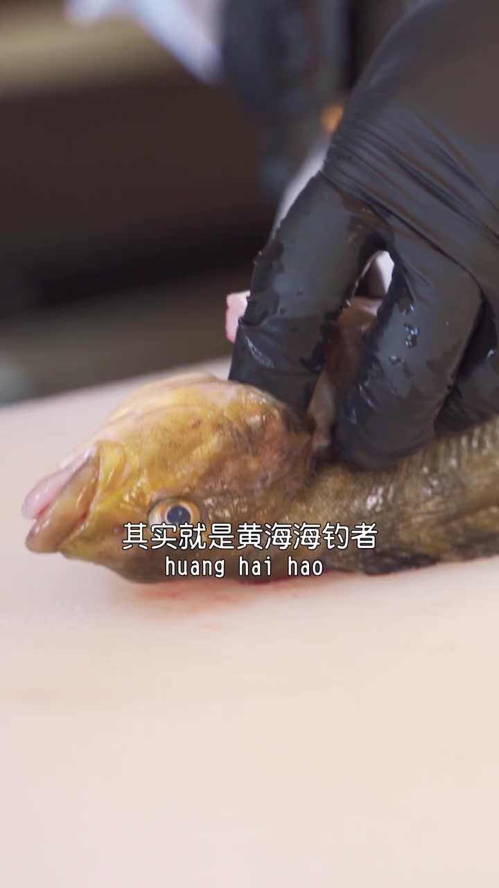 自带厚嘴唇的大泷六线鱼来了,这夏天千万别错过它