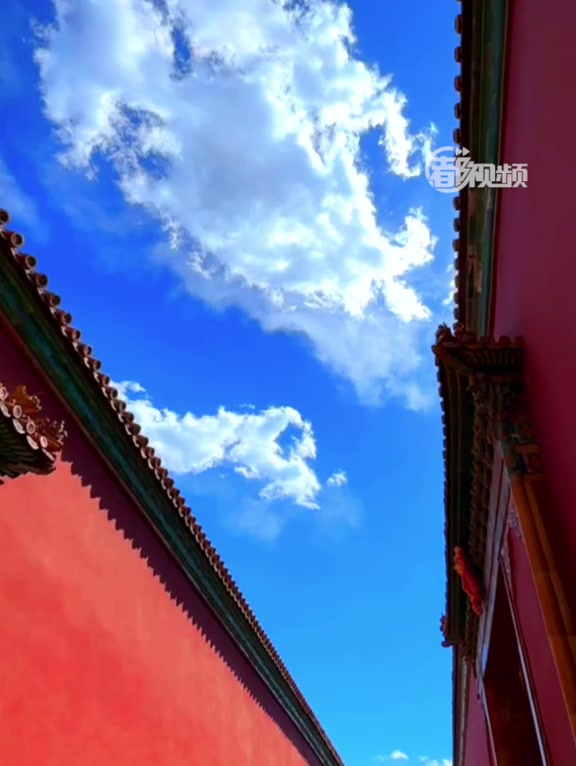 「珍藏这份独属于故宫的浪漫!当故宫武英殿遇见白丁香」四月中旬的故宫武英殿的丁香,雪白的花朵