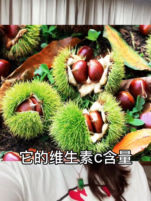 板栗热量每百克是大米的一倍,含糖量和皿糖生成指数挺高,血糖高