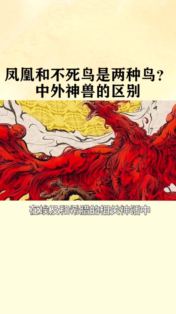 中外神兽的区别,简直是两个种类