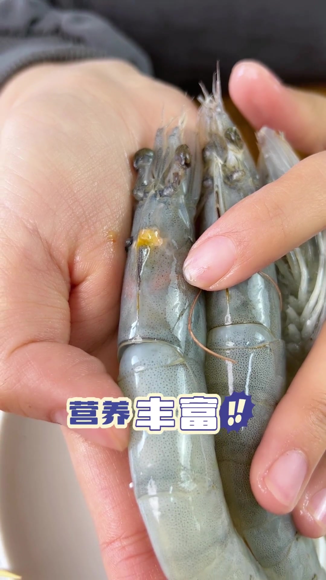 教你辨别海水大虾和淡水养殖虾