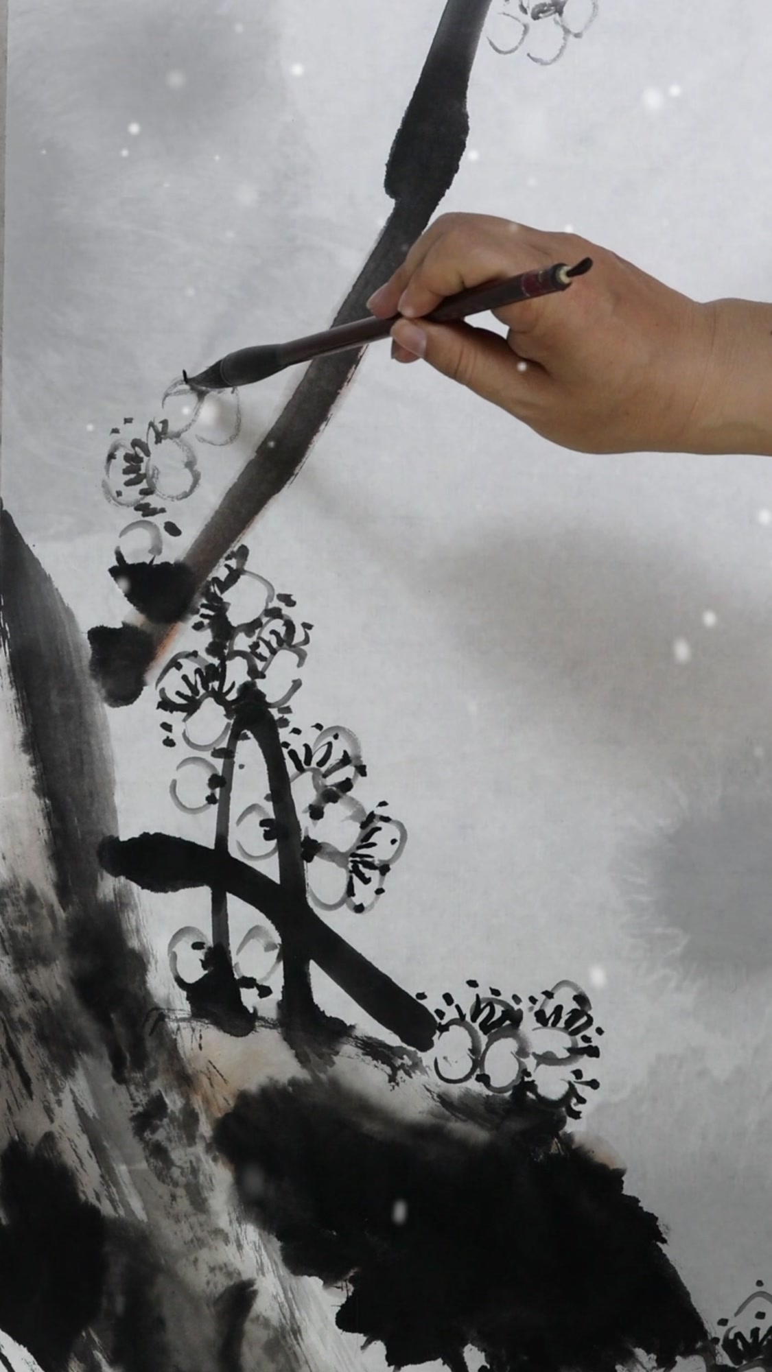 曾靖国画教学大写意花鸟画梅花画法,精彩绝伦