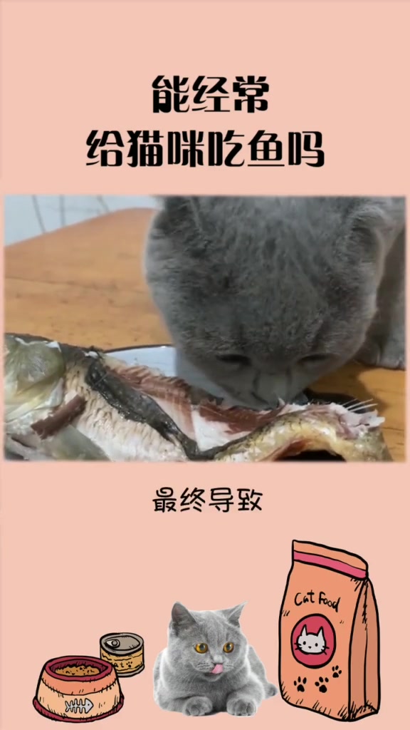 猫咪爱吃鱼,能经常给它吃吗?