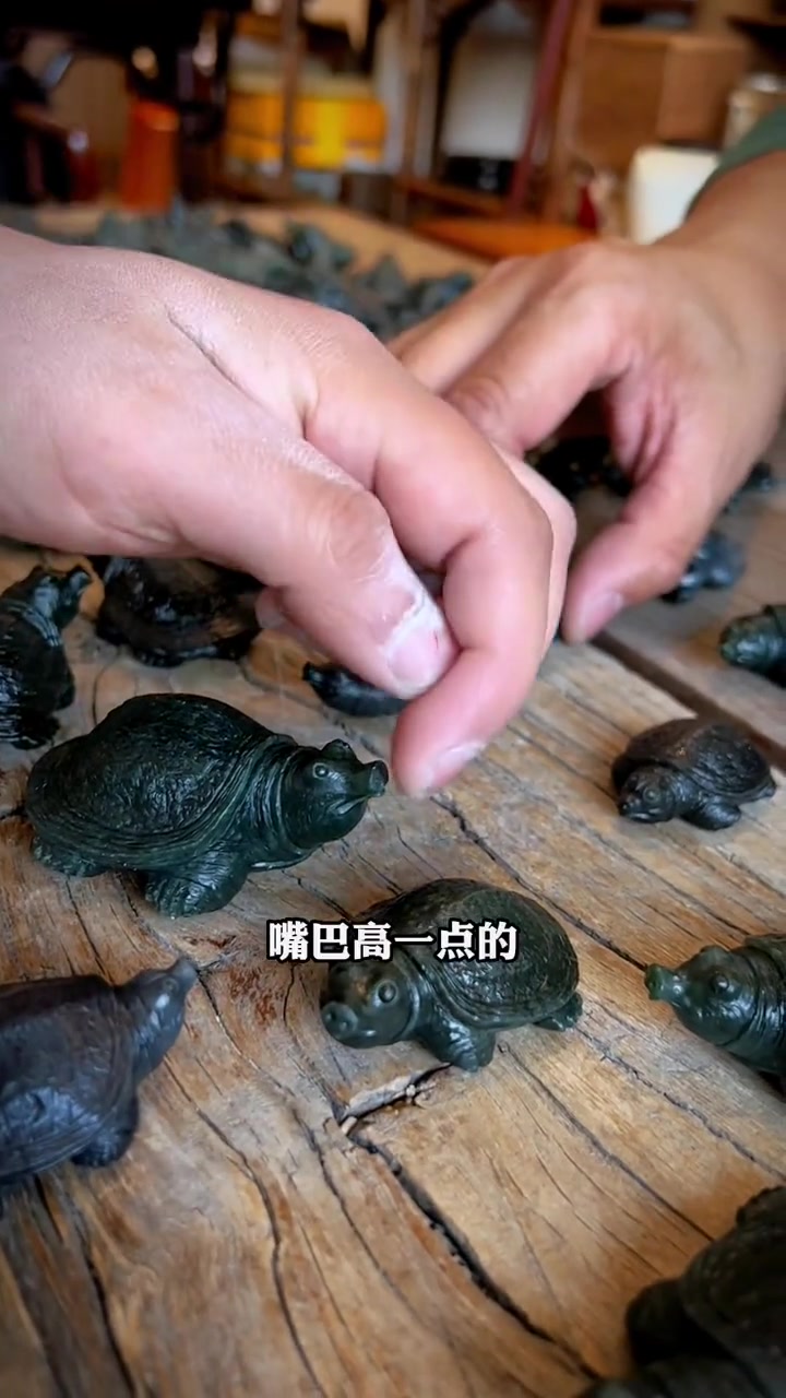 花十几万搂一堆小甲鱼大家觉得怎么样?甲鱼寓意富甲天下,富甲一方,又称为“团鱼”“圆鱼”寓意