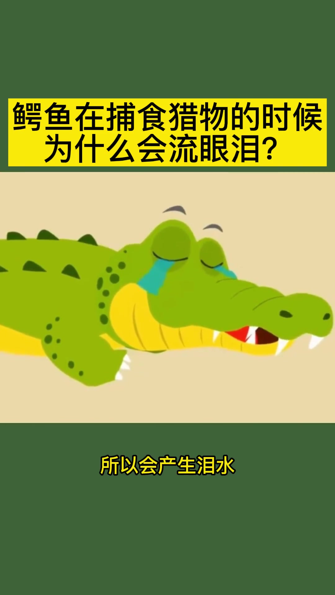 为什么鳄鱼在吃掉动物时会流泪呢?
