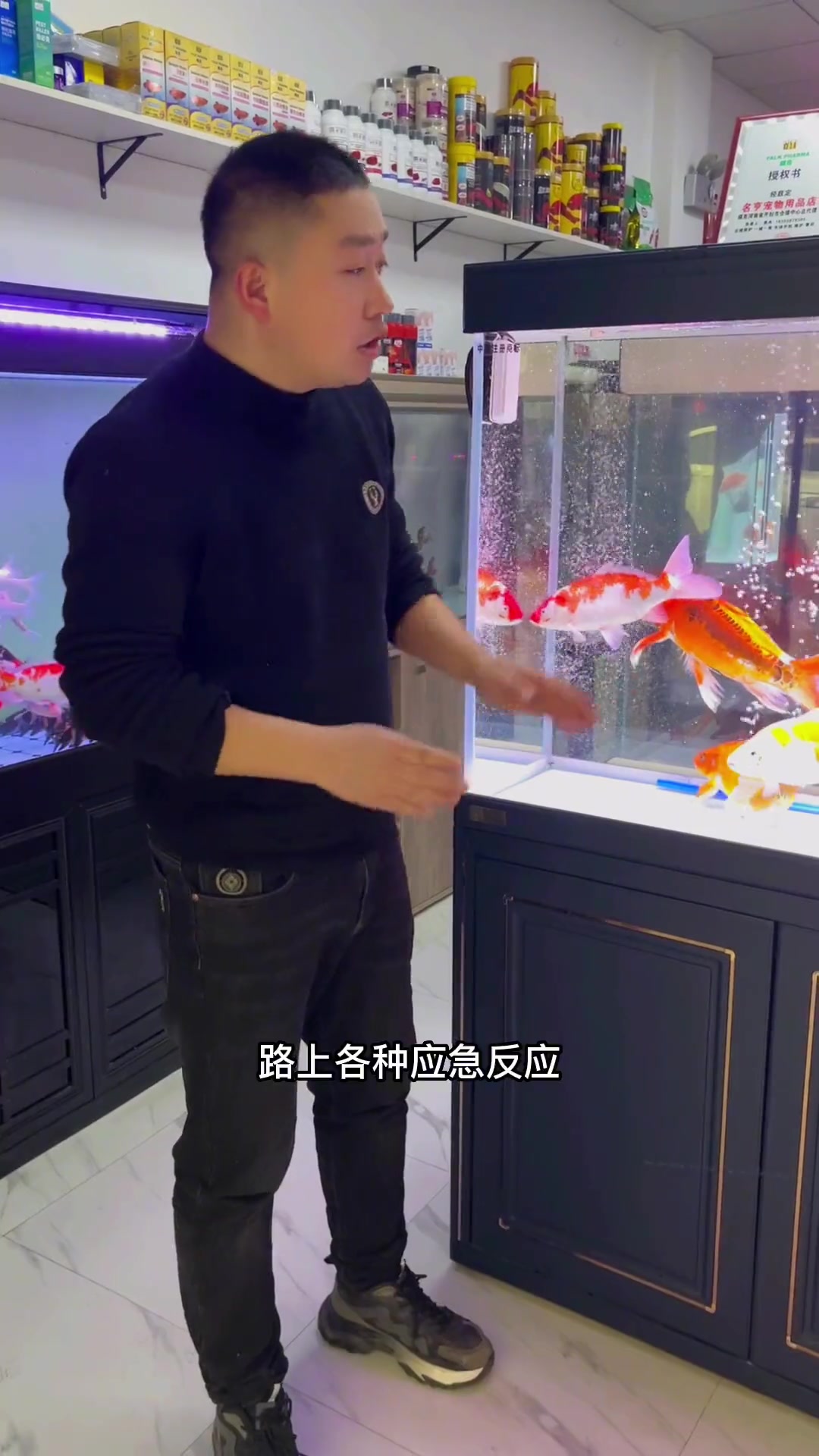 锦鲤趴缸萎靡解决