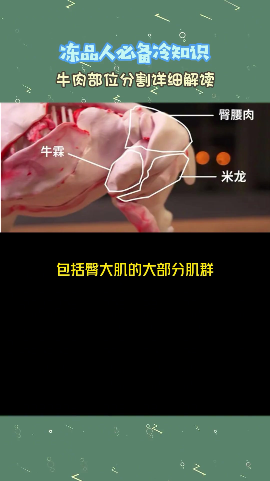 牛肉部位,你懂了吗?