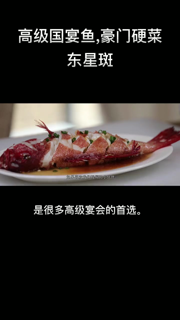 你不知道的鱼中贵族——海中玫瑰“东星斑”