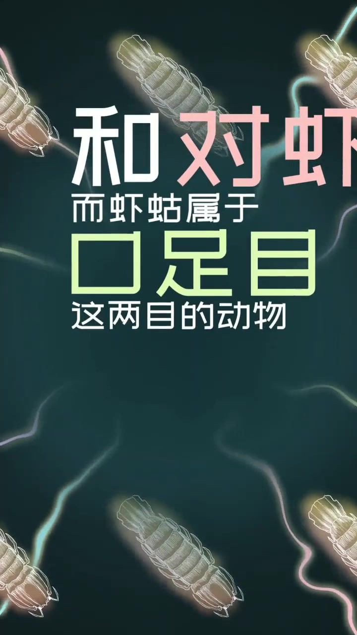 虾蛄是虾的一种吗?