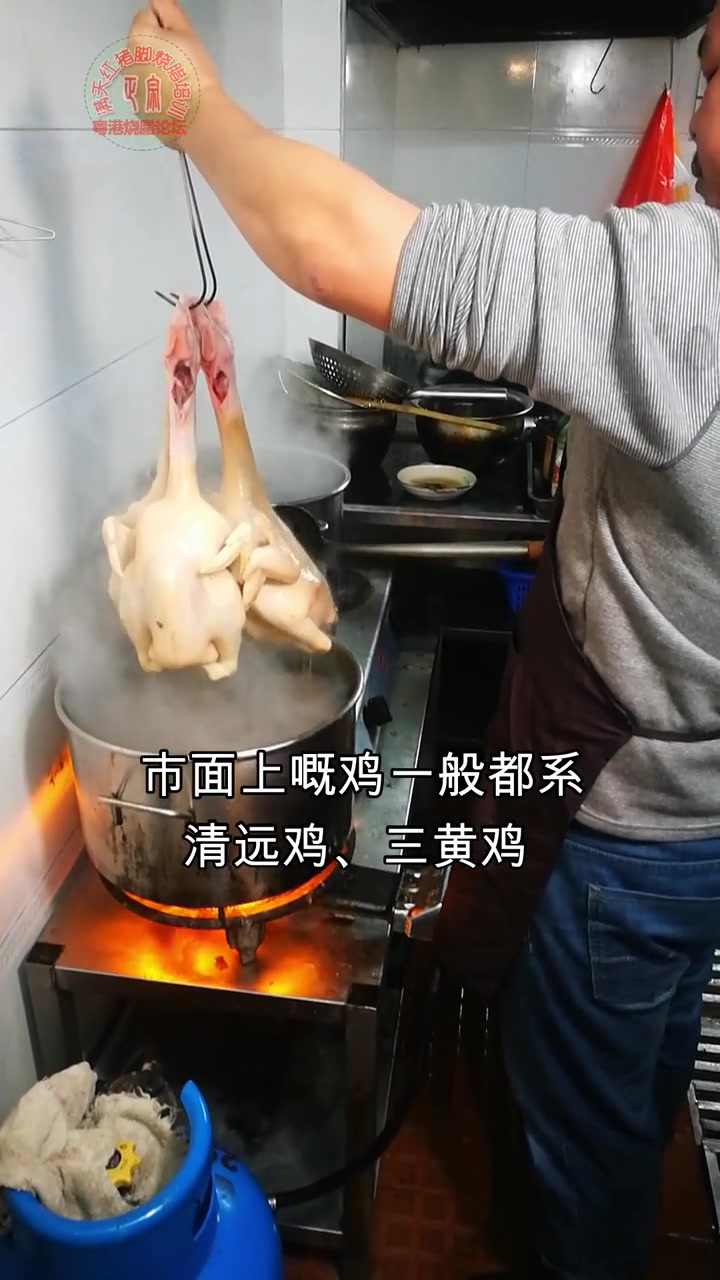 清远鸡、三黄鸡,家乡走地鸡,你更钟意哪一种?
