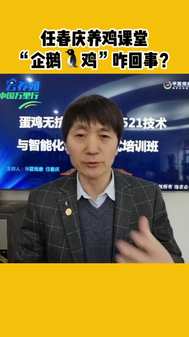 鸡站着走路咋回事
