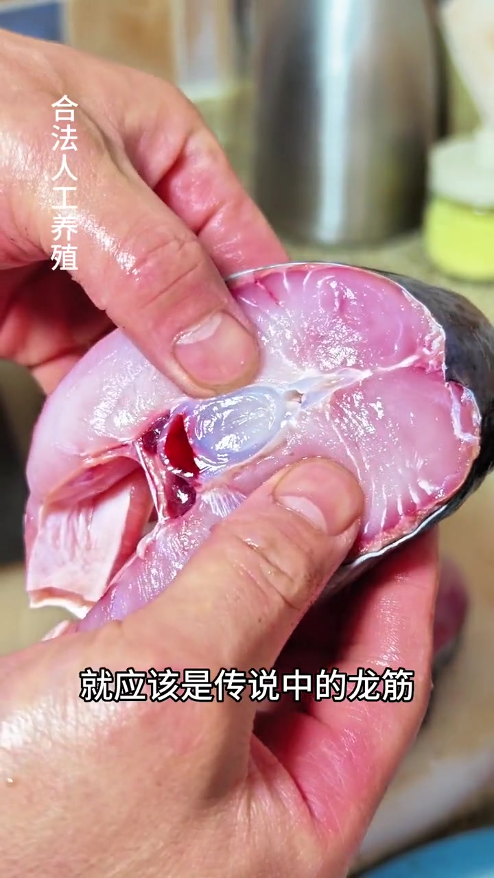 今天整了一条鸭嘴鲟,这大锅炖鱼把我香迷糊了!美食教程 铁锅炖 铁锅炖鱼 妈呀太香了 来顿铁