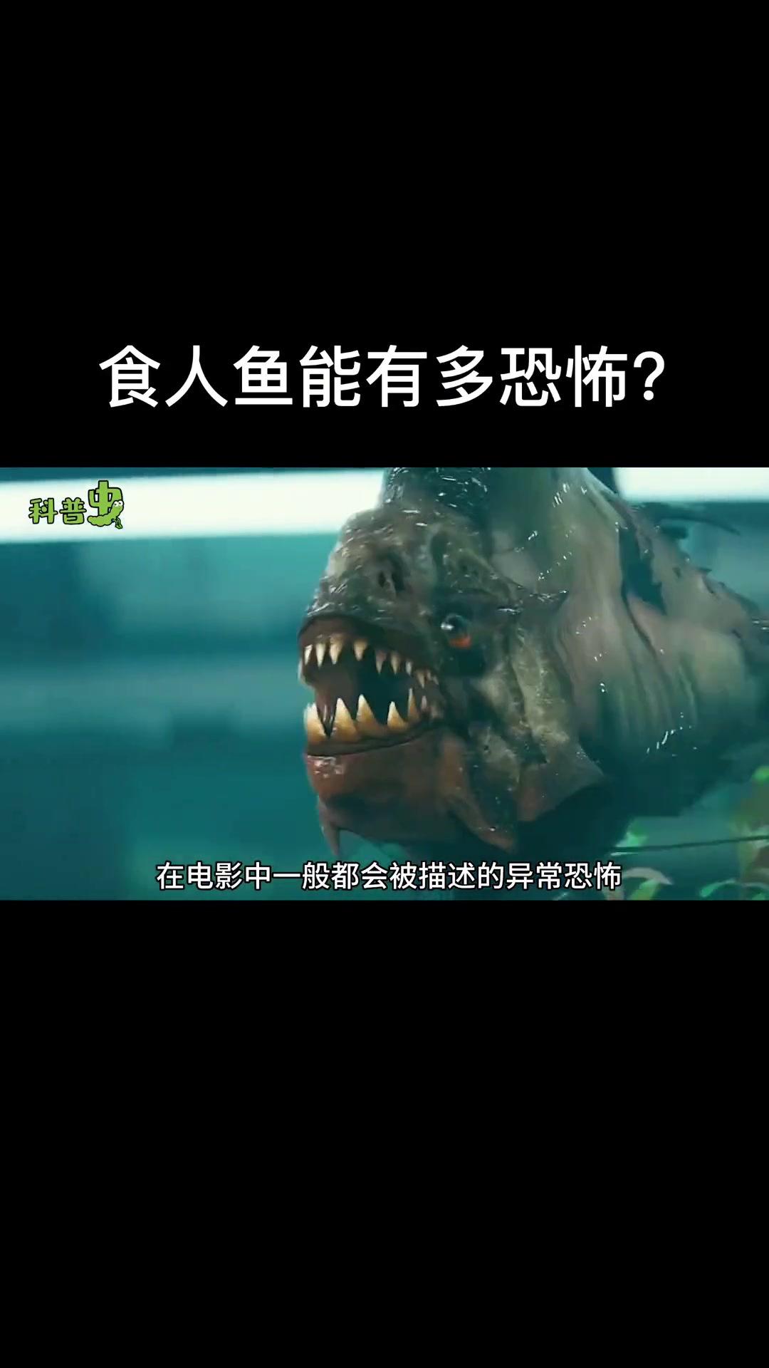 食人鱼真的会吃人吗?