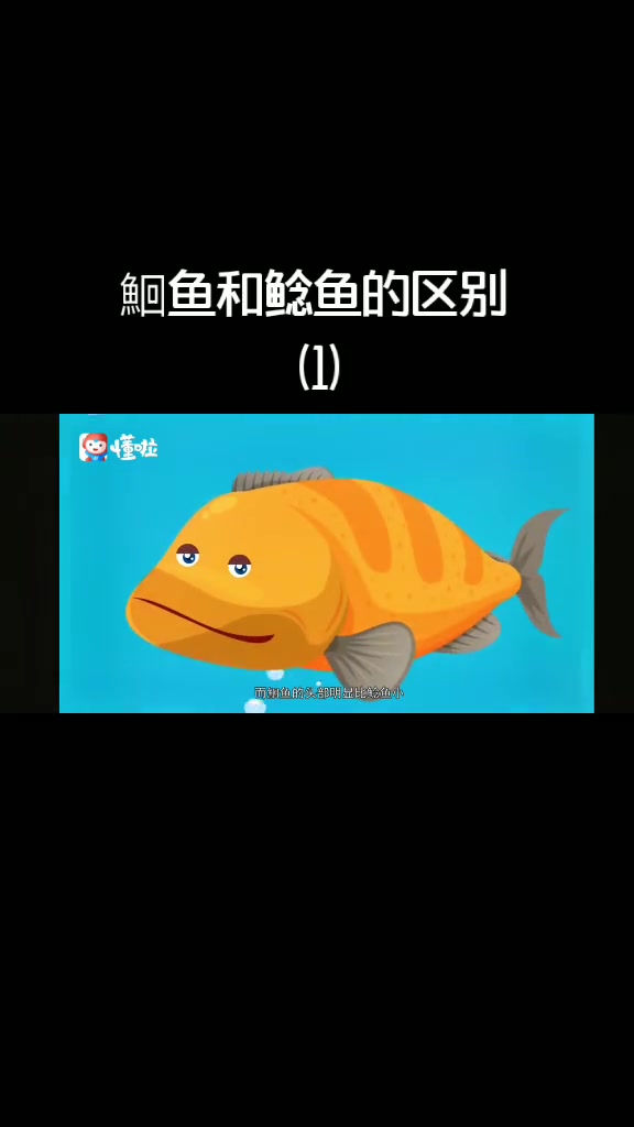 很多人分不清楚鮰鱼和鲶鱼有什么区别,大家一起来涨涨姿势吧