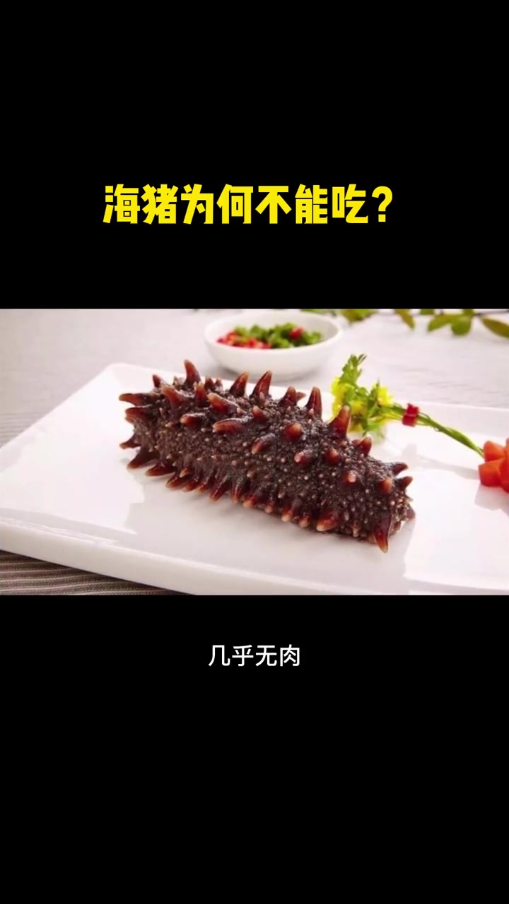 海猪作为一种海参,它为何不能吃?