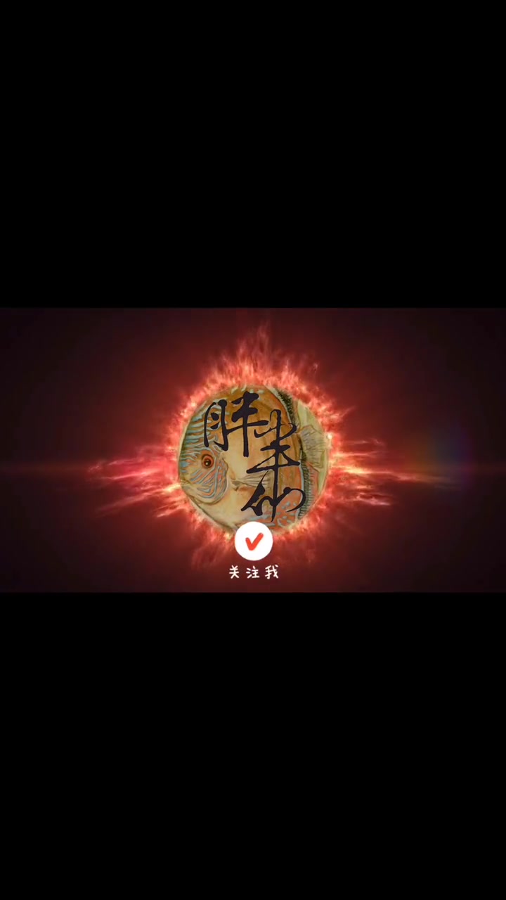 红剑鱼,一种会霸道总裁式表达爱意的鱼,这种鱼你养过吗?