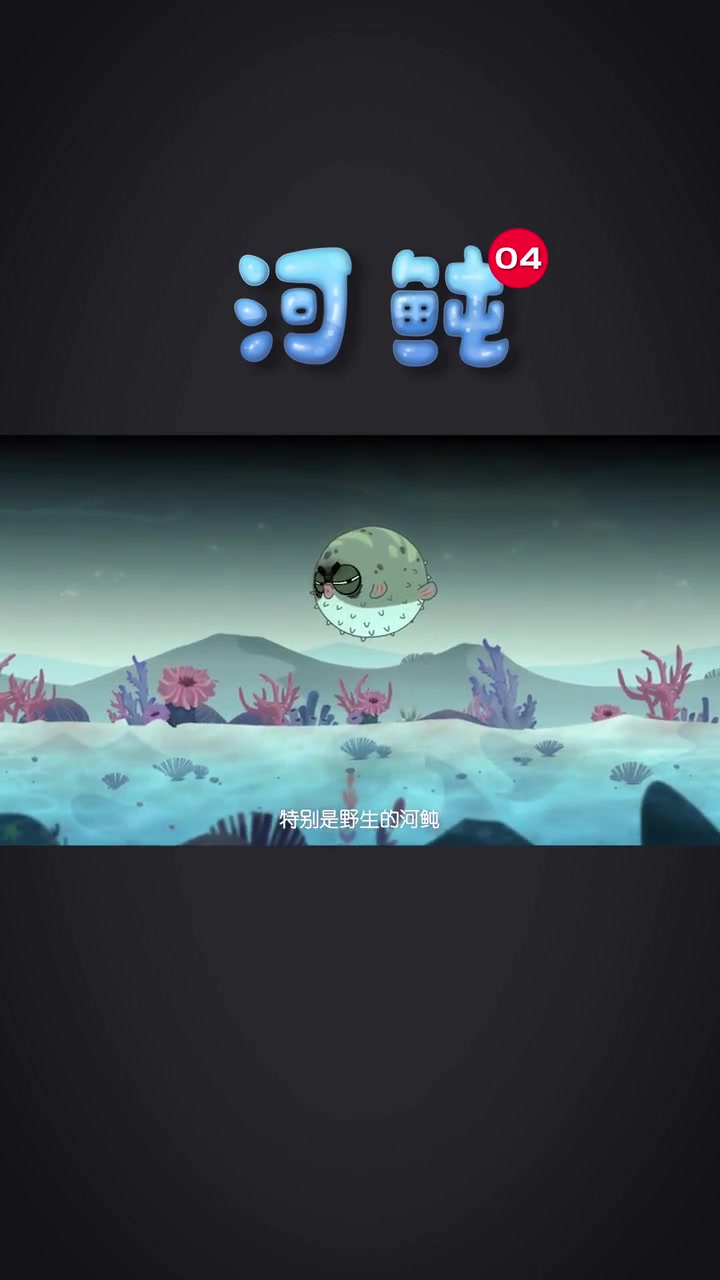 海水和淡水河豚鱼的区别是什么?
