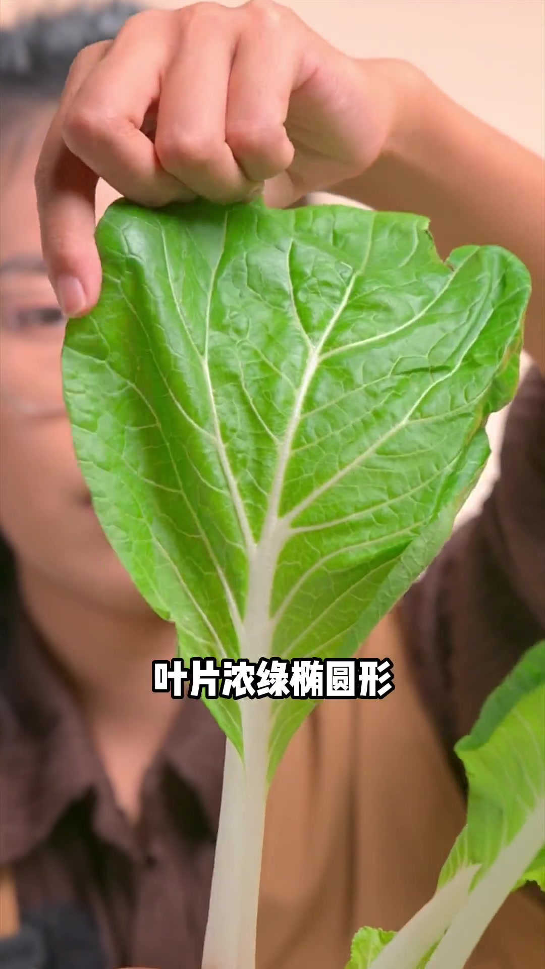 这些“青菜”放你面前,不看名字,你能认出几个?