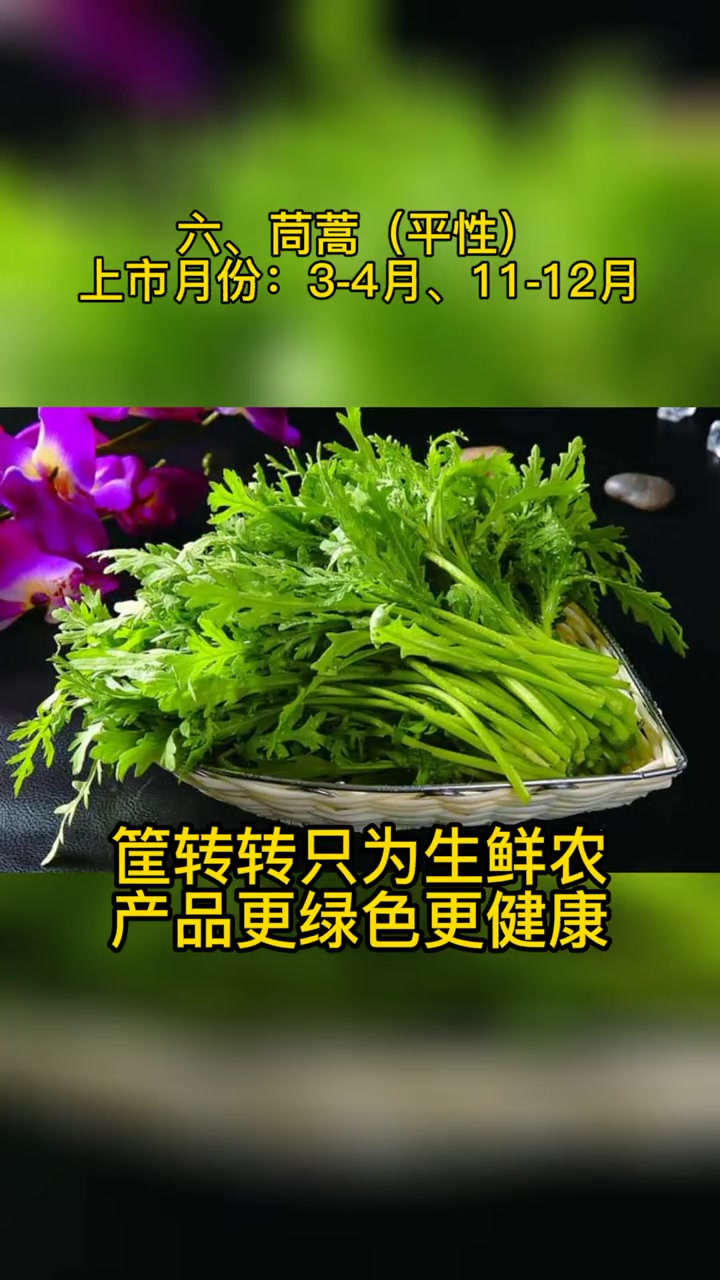 吃叶子的蔬菜有哪些?叶菜类蔬菜品种盘点