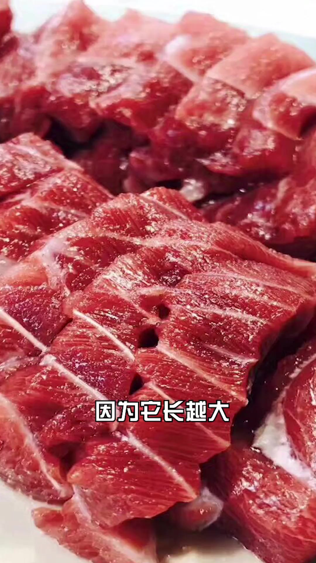 如何分辨黄鳍和蓝鳍金枪鱼肉?