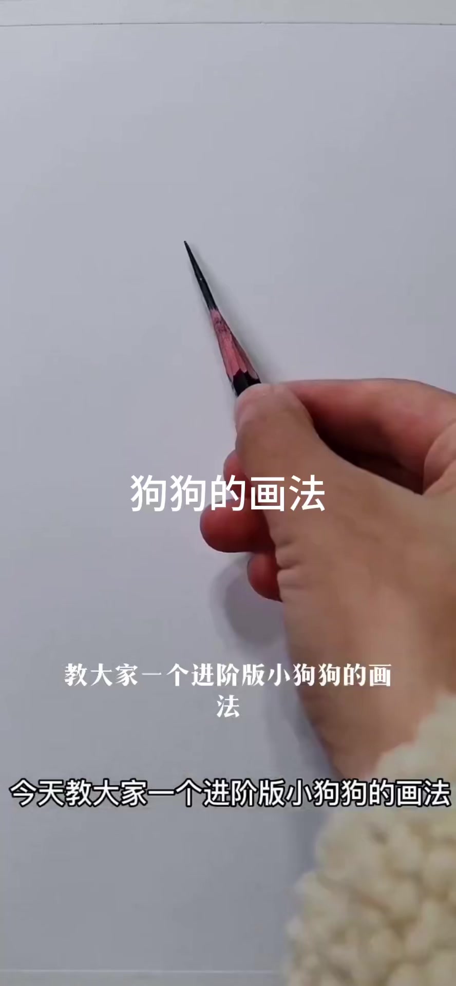 狗狗的素描画法步骤