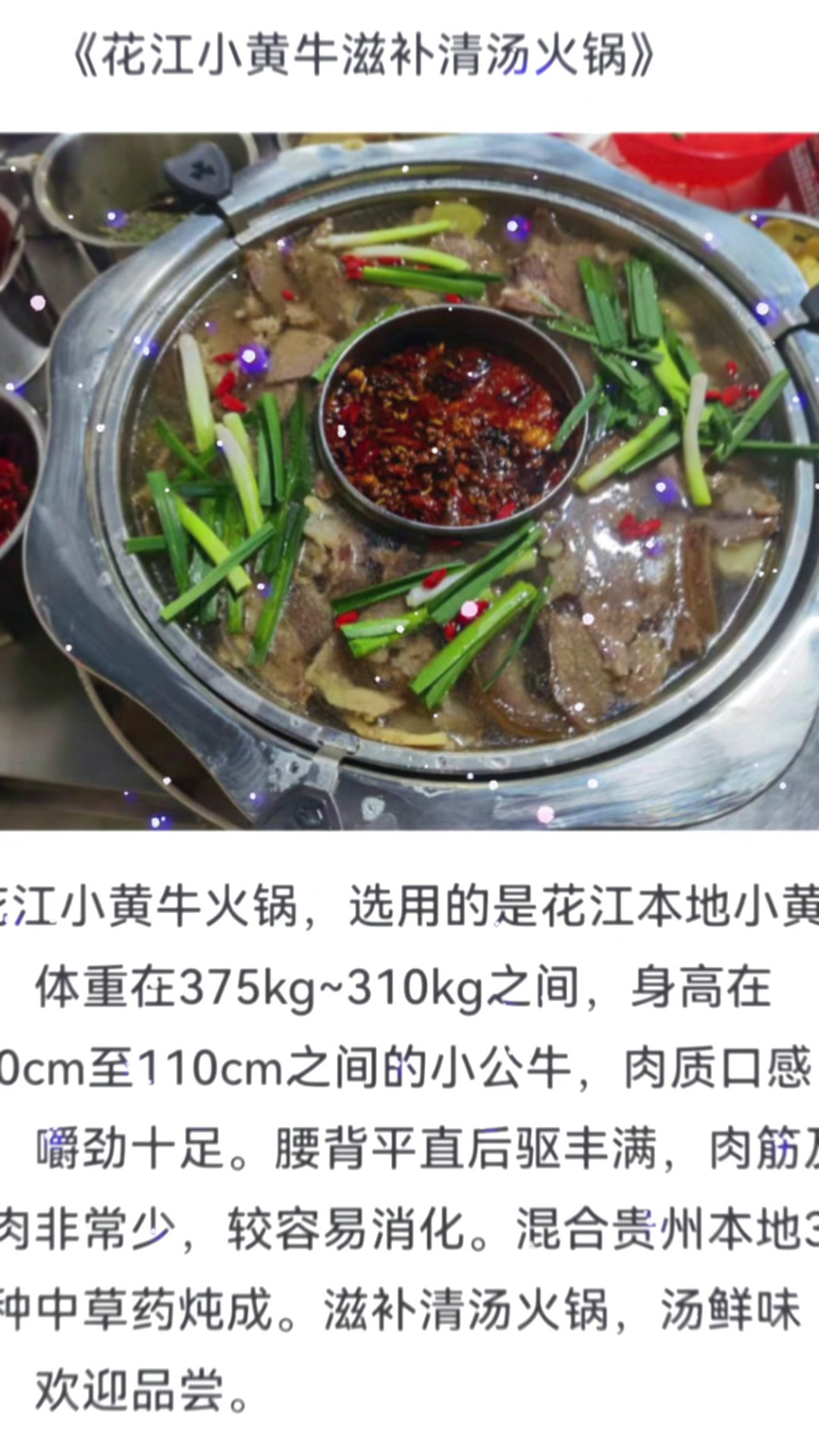 贵州花江小黄牛火锅