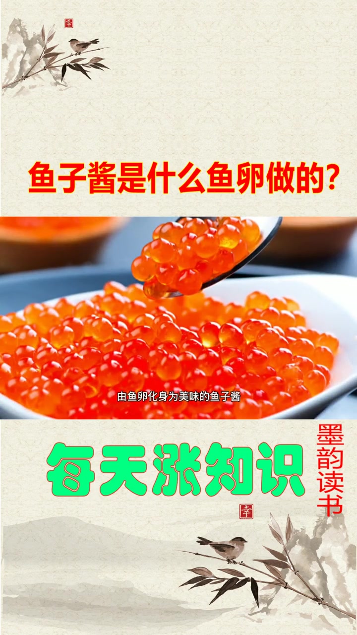 你知道鱼子酱是什么鱼的鱼卵么?