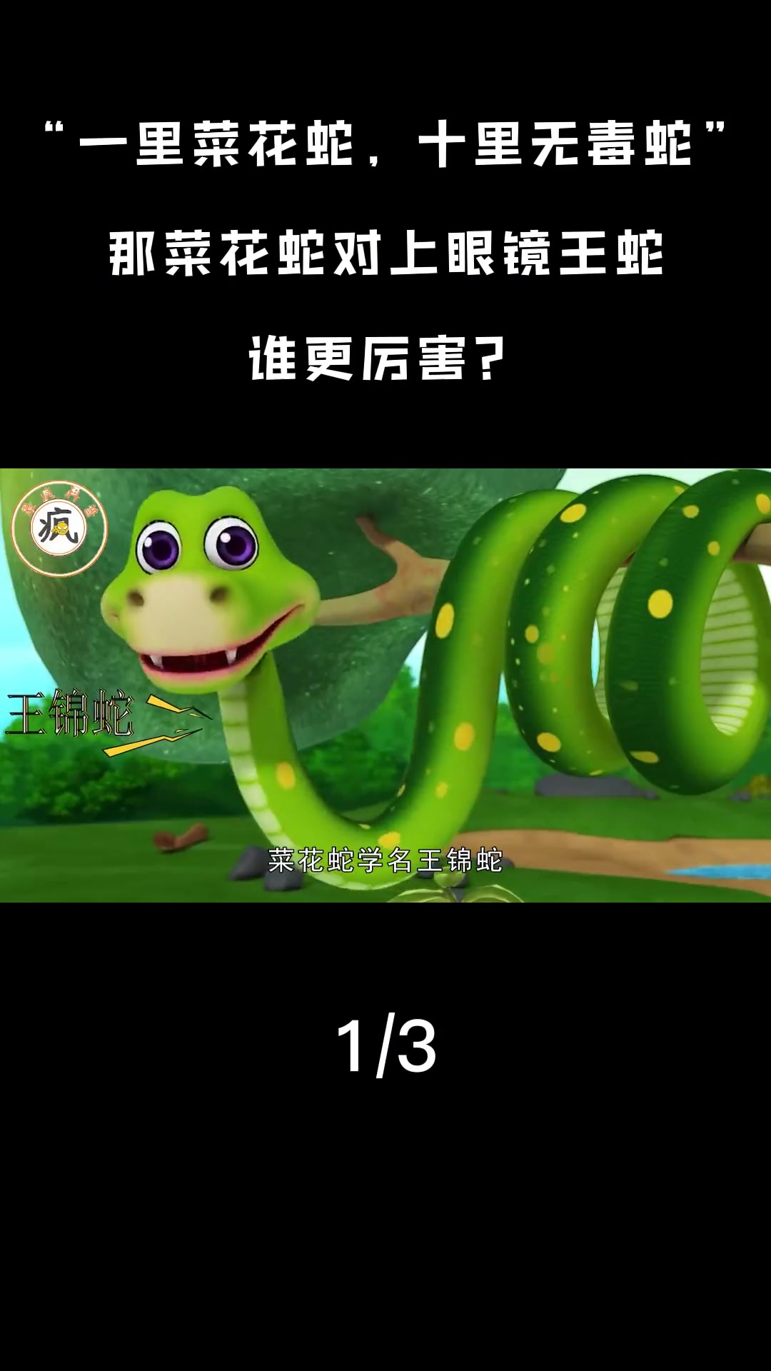 “一里菜花蛇,十里无毒蛇”,那菜花蛇对上眼镜王蛇,谁更厉害?