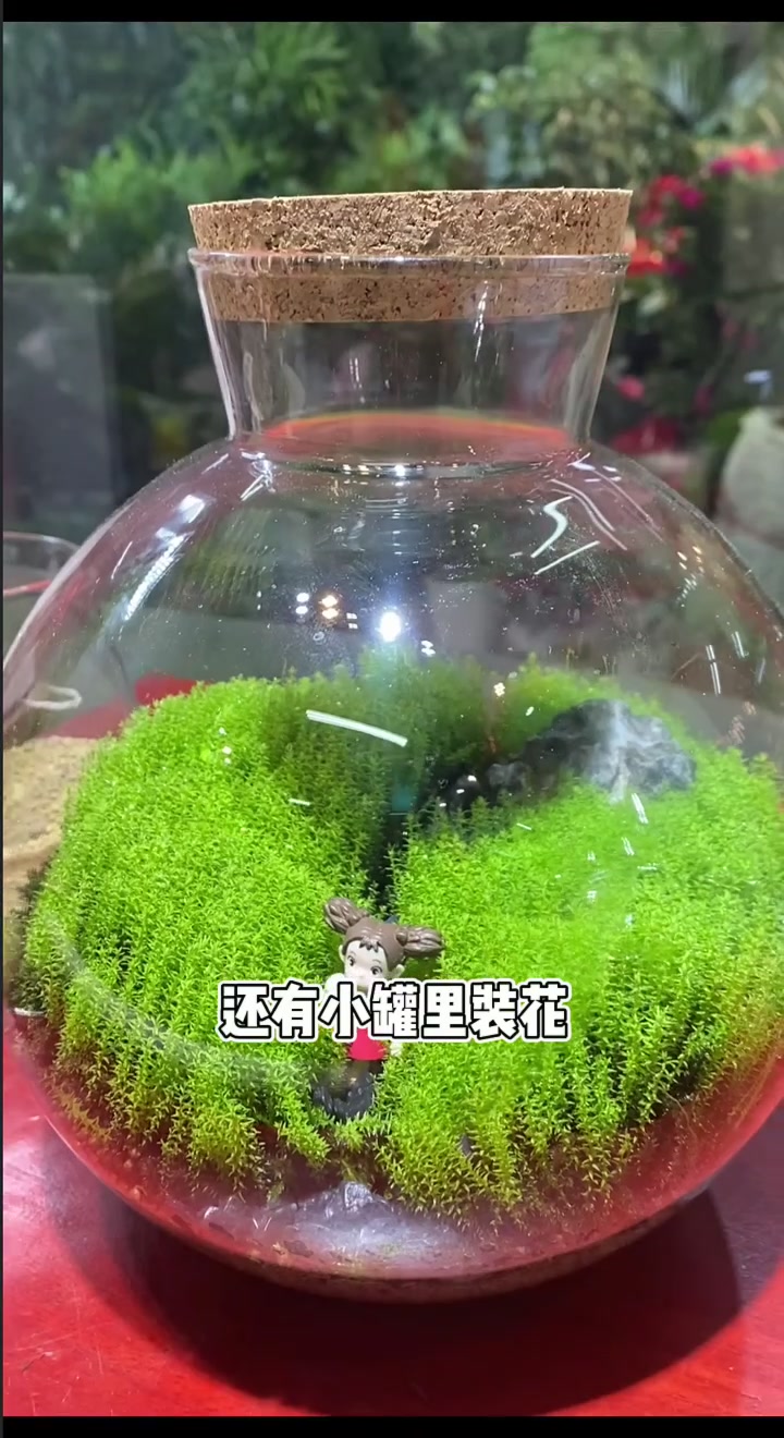 北京春天游逛|去花鸟鱼市场