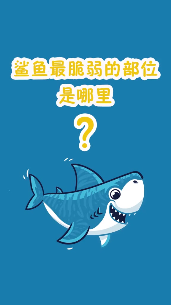 鲨鱼最脆弱的部位是哪里?