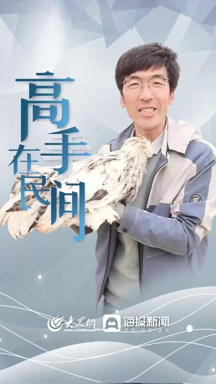 高手在民间 ①|冠子形状、皮肤颜色、羽毛类型、光脚毛腿、体形体重可自由组合,想让小鸡长啥模