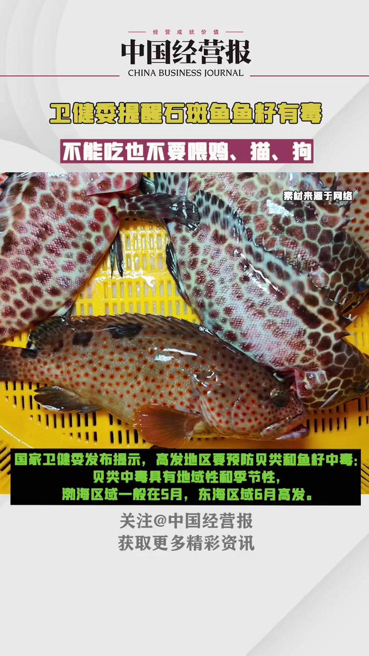 卫健委提醒石斑鱼鱼籽有毒,不能吃也不要喂鸡猫狗 社会