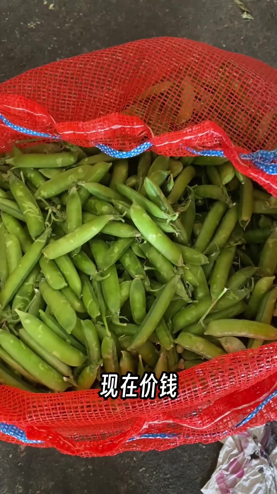 豌豆、蚕豆、嫩南瓜价格腰斩!本地春菜提前20天放量,太实惠了