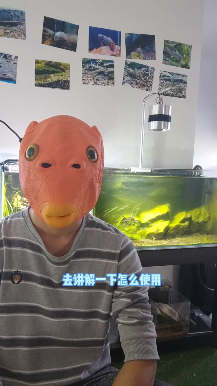 养鱼第12问,造景素材有哪些?能泡水的,没有毒的,绝大多数都是可以当造景素材。就看你能不能