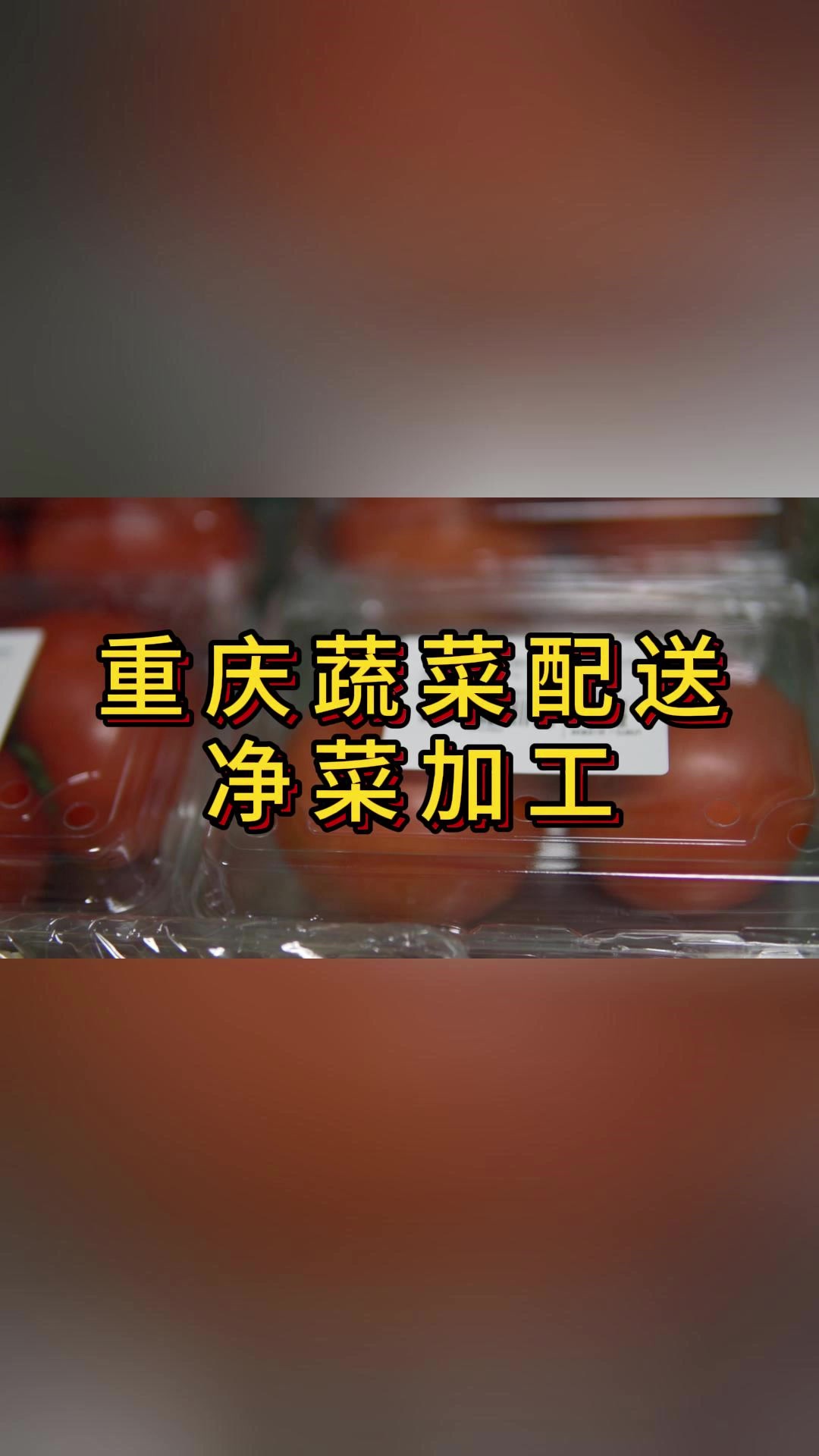 重庆蔬菜配送 蔬菜的搬运工 净菜加工