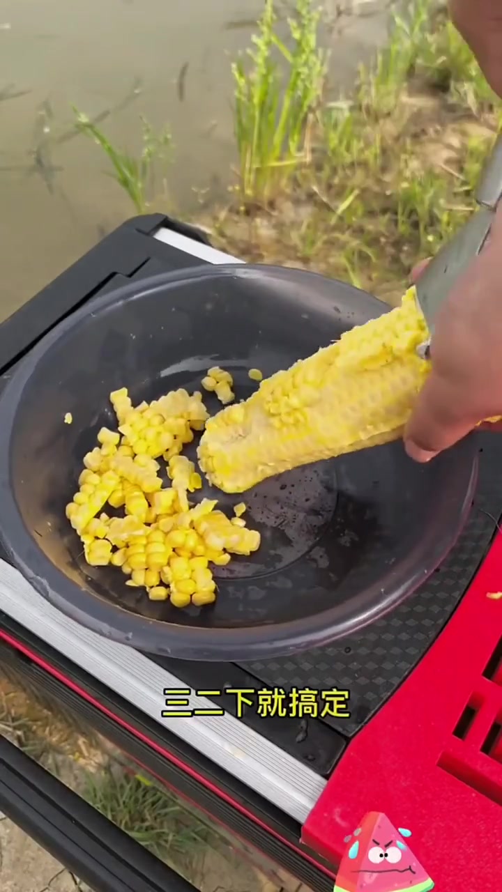 需要用玉米打窝的玉米不好剥,用这个玉米脱粒器