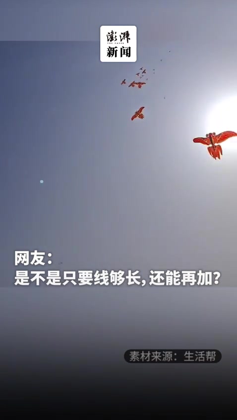 17个金鱼风筝齐聚一根主线