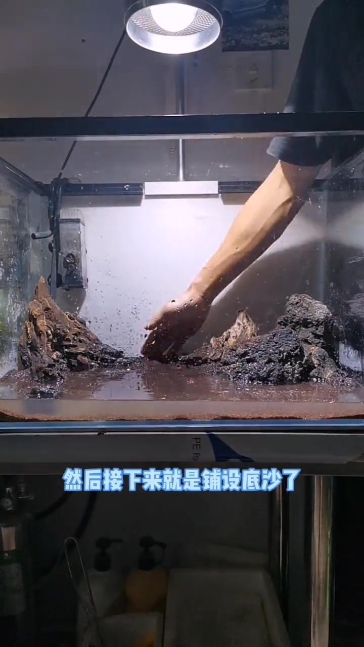原生但又没有完全原生的巨人缸~养点什么好呢?原生缸 原生缸造景 造景鱼缸
