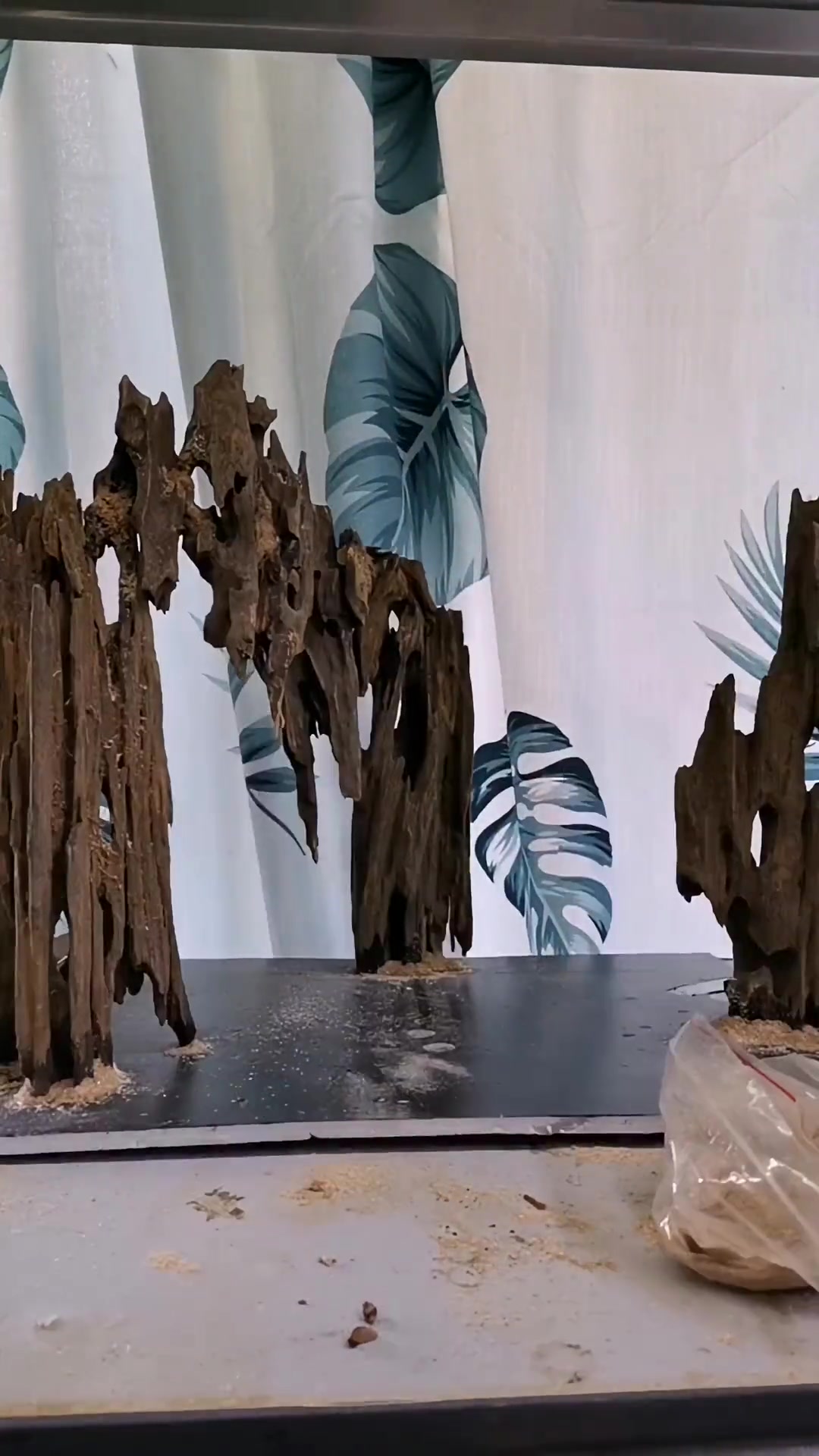 这口40方应该算是我翻缸频率最高的一口缸了,这次的造景应该可以看好久好久了 鱼缸造景 水族