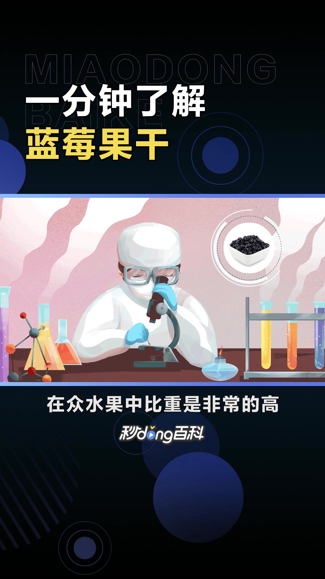 蓝莓果干:一种食物名称
