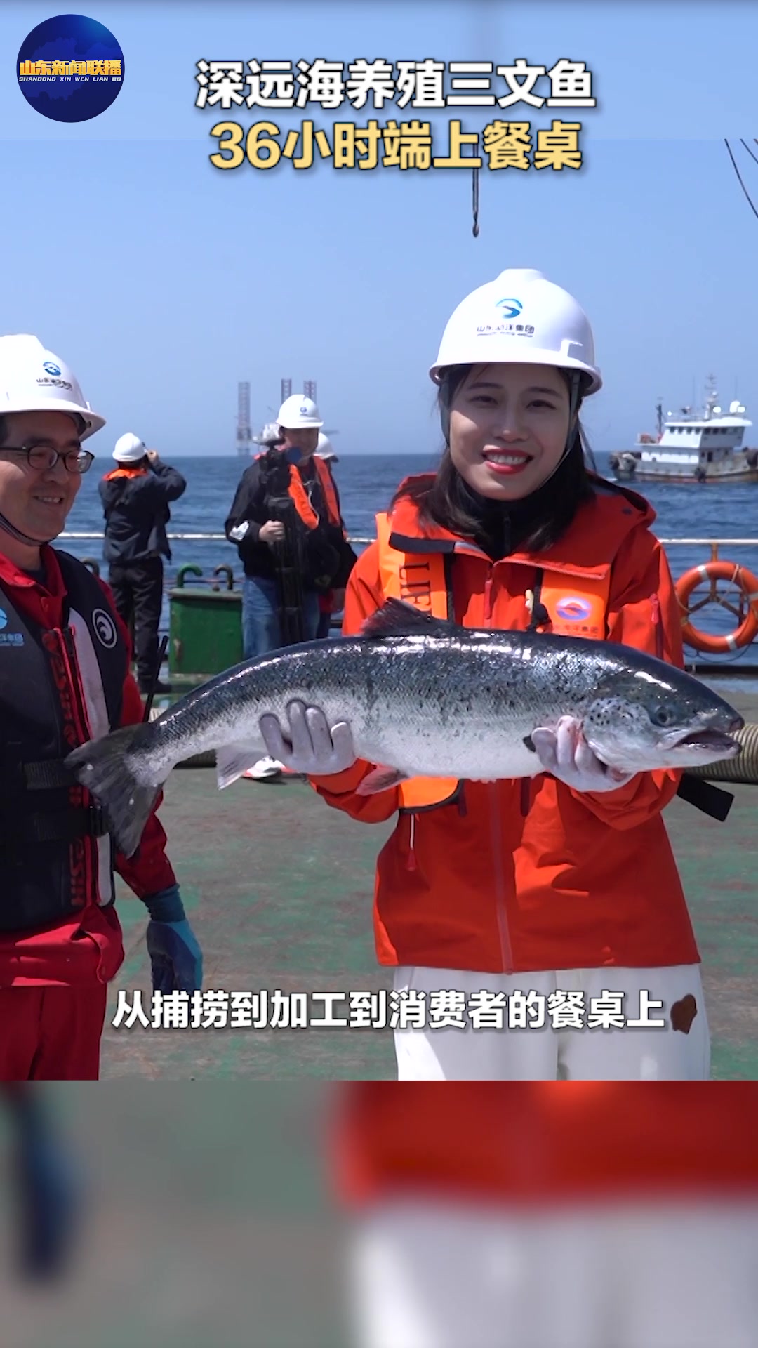 仙境海岸|深蓝一号“吸鱼”忙 引来鲨鱼“围观”