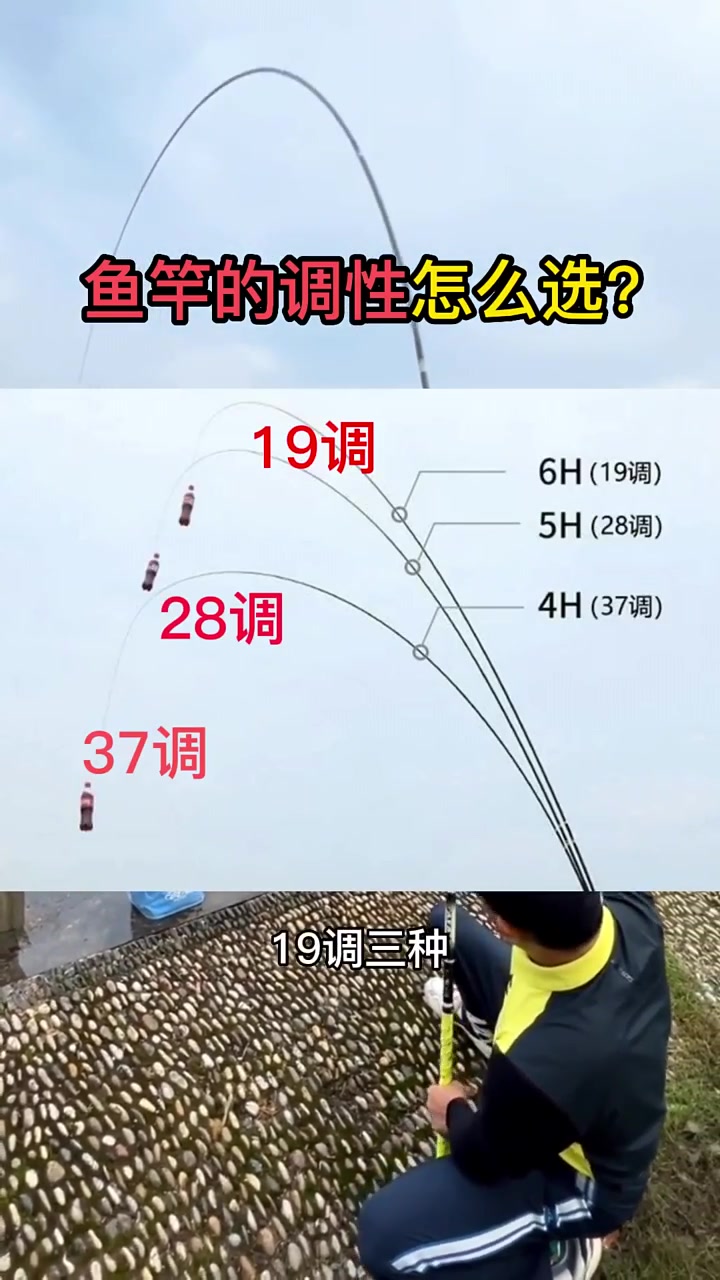 鱼竿的调性到底应该怎么选?