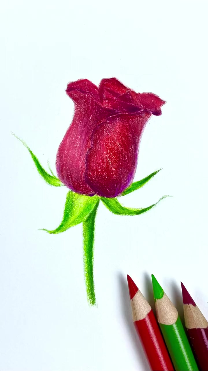 第27集|用简单的方法,画出漂亮的玫瑰 画画 彩铅