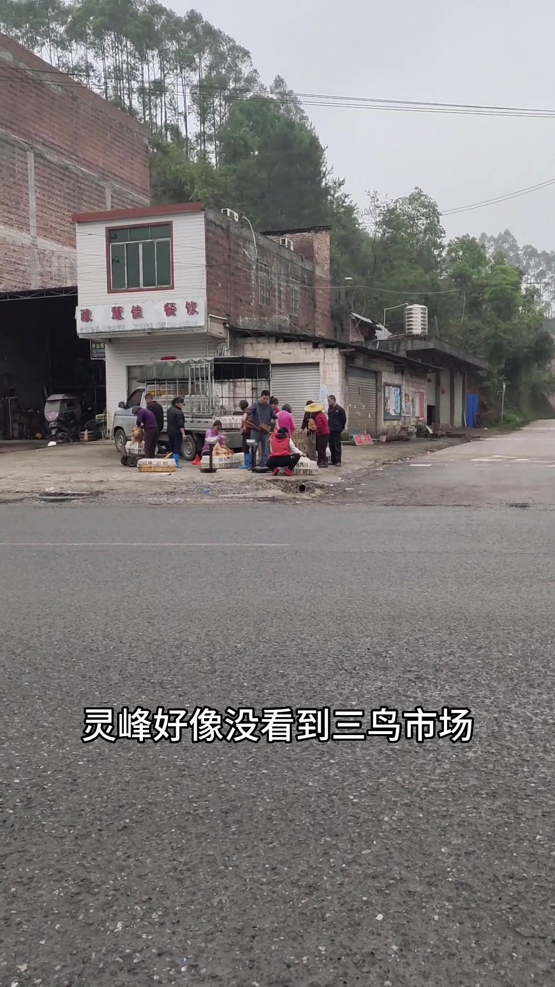 路茫挑战走遍怀集及周边:广西信都三黄鸡很出名,灵峰有信都鸡煲