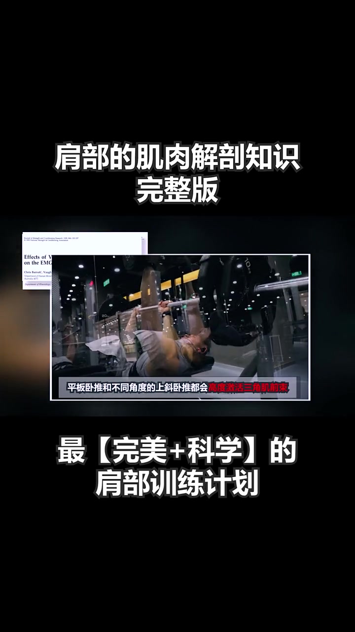 肩部肌肉的解剖知识(完整版)