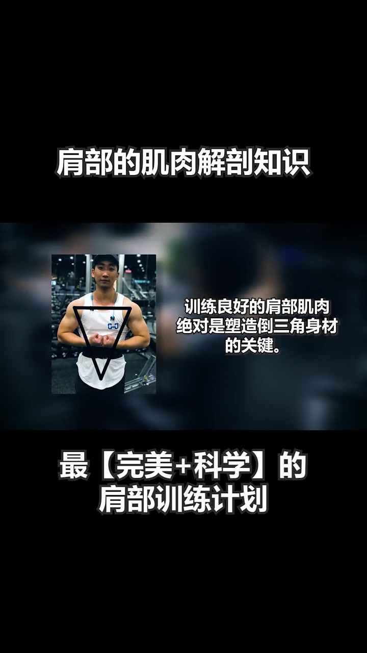 肩部的解剖结构